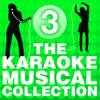 Send in the Clowns (From "A Little Night Music" / Karaoke Version) - The City of Prague Philharmonic Orchestra