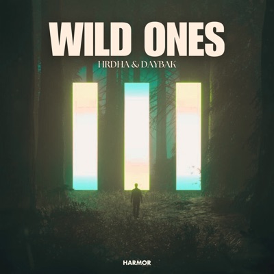 Wild Ones - Single