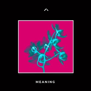 Meaning - Single