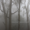 Magnificent - Violin Sky