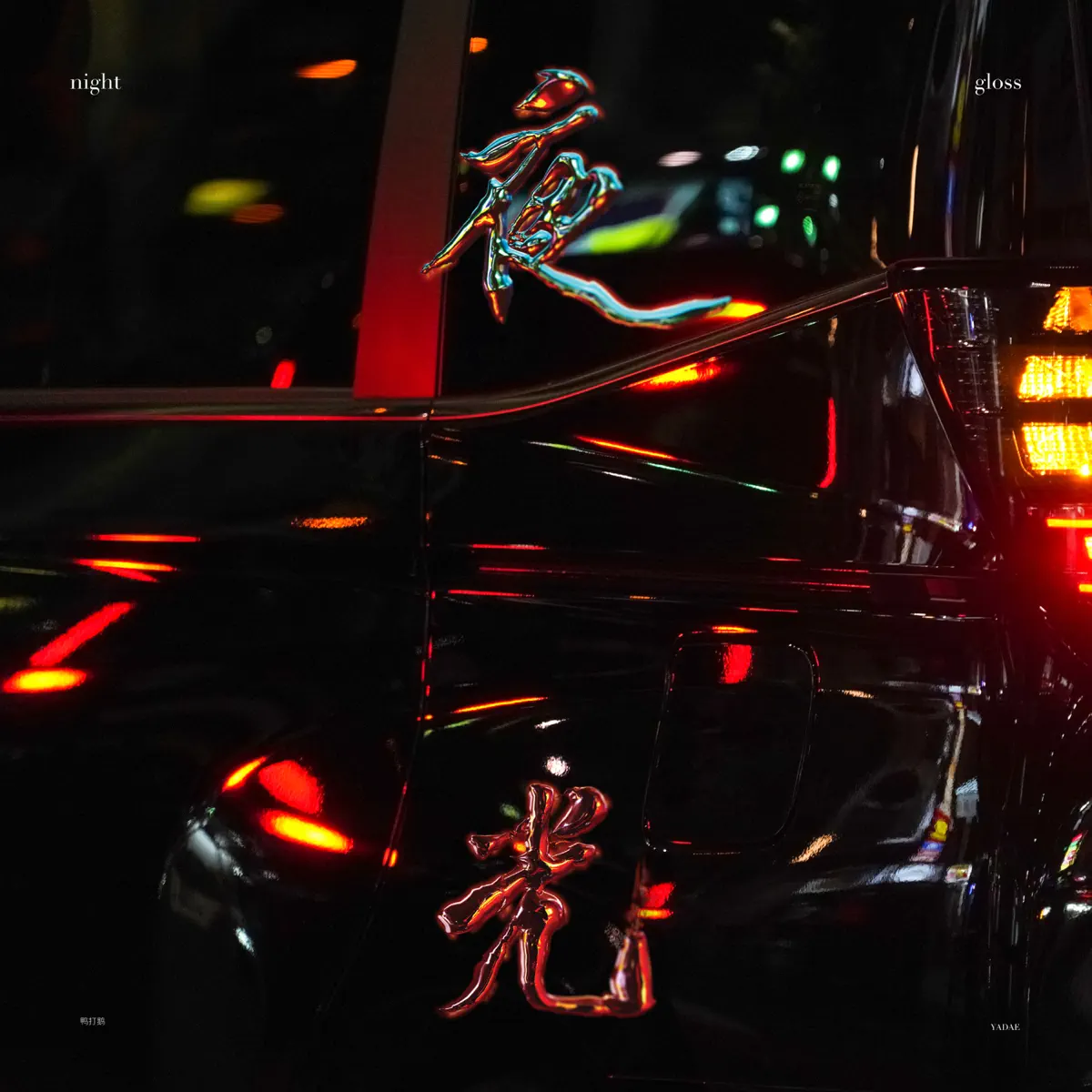 鴨打鵝 – 夜光 (2024) [iTunes Plus AAC M4A]-新房子