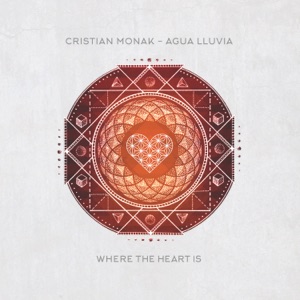 Agua Lluvia - Single