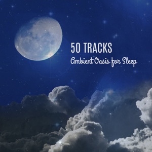 50 Tracks: Ambient Oasis for Sleep: Relaxing Slow Music for Healing Meditation, Finding Inner Peace, Release Therapy Session to Reduce Stress