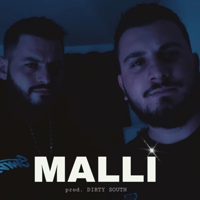 MALLI (feat. BORO & ALVI) - Single