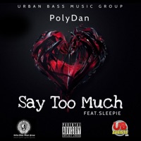 Say Too Much - Single - Polydan