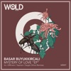 Mystery of Love - EP