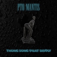 Thong Song (feat. Sisqó) [Radio Edit] - Single - PTO Mantis