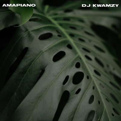 Amapiano - Single