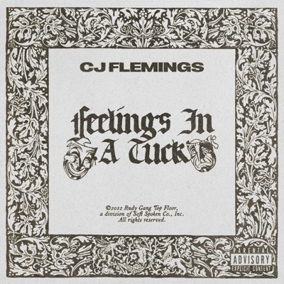 Feelings In a Tuck - Single