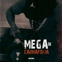 MEGA DE CARNAFOLIA - Single - DJ Brenin