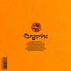 Tangerine - Single