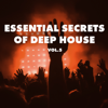 Essential Secrets of Deep House, Vol 5 - Various Artists