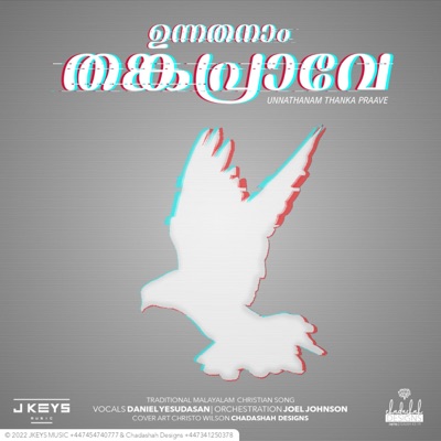 Ennullil Ennum Vasichiduvan (feat. Joel Johnson) [Radio Edit] - Single