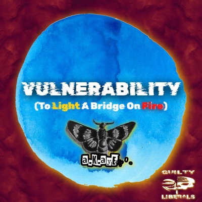 Vulnerability Single - Single