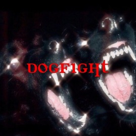 Dogfight Yitzhak