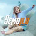 Sembilu