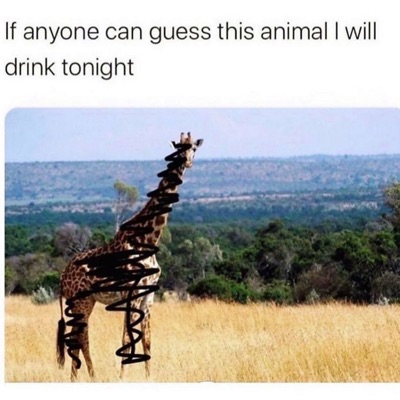 Introvert Party - Single