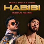 Habibi (Indian Remix) artwork