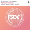 Sean Tyas - Perfect World (Amos & Riot Night Remix)