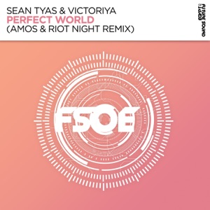 Perfect World (Amos & Riot Night Remix) - Single
