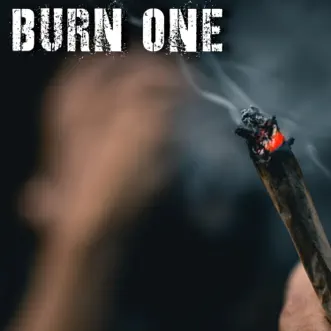 Burn One (feat. A.Bonner) - Single by T Davis album reviews, ratings, credits