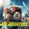 Mr. Brightside - Single