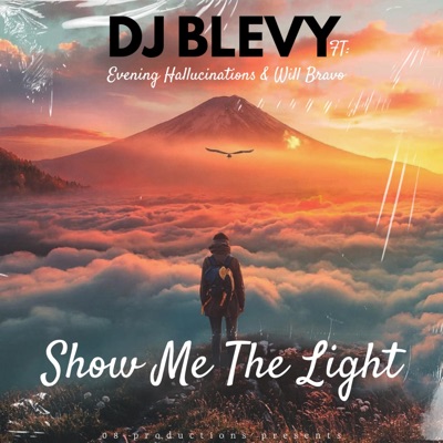 Show Me The Light (feat. Evening Hallucinations & Will Bravo) - Single
