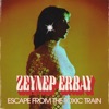 Escape From the Toxic Train - EP