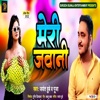 Meri Jawan - Single