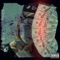 Cash in Cash Out - Slayxsavage lyrics