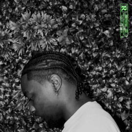 4LIFE (feat. Kingoss) DrVK