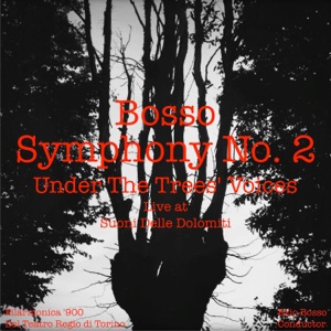 Symphony No. 2 "Under the Trees Voices" (Live)