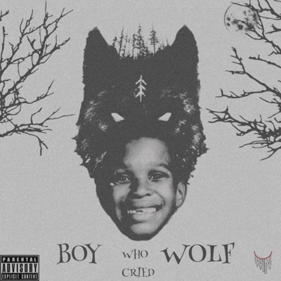 Boy Who Cried Wolf