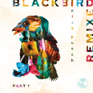 Blackbird, Pt. 1 (Remixed) - Single