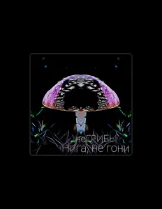Listen to неГРИБЫ, watch music videos, read bio, see tour dates & more!
