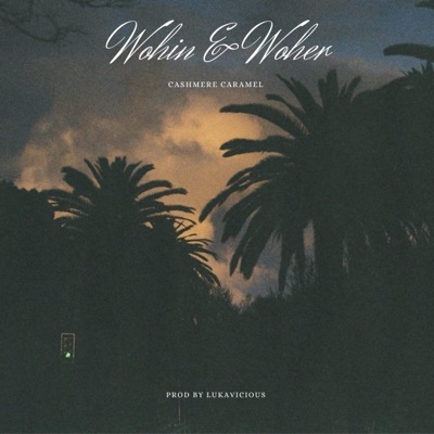 Wohin & Woher - Single