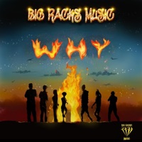 WHY (feat. Ntosh Gazi) - Single - BRM
