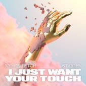 I Just Want Your Touch artwork