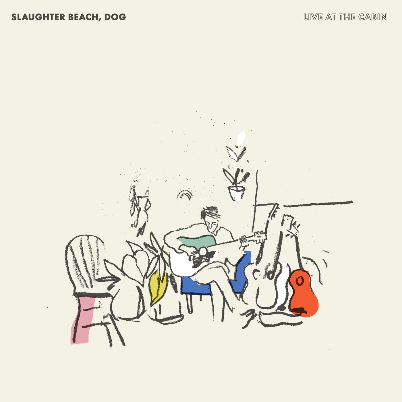 Live At The Cabin by Slaughter Beach, Dog