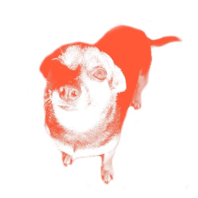 Socialite: Selected Movements I-V - EP