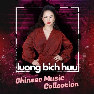 Lương Bích Hữu - Mei Lan Mei Lan Wo Ai Ni - Line Dance Musique