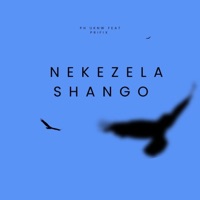 Nedzela shango (feat. Prifix) - Single - Ph uknw