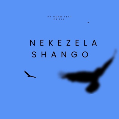 Nedzela shango (feat. Prifix) - Single