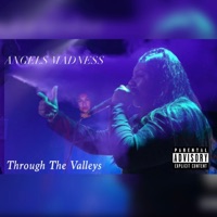 Through the Valleys - Single - Angels Madness