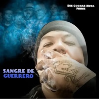Sangre de Guerrero - Single - Ese Cochas Nota Firme