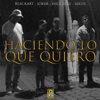 Haciendo lo que quiero (feat. Jokermx, HiceErre & Sekyr) - Single - Blackart