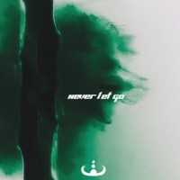 Never Let Go - Single - WEVLTH