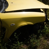 DESCORCHANDO - Single - Megansito el Guapo & nusar3000