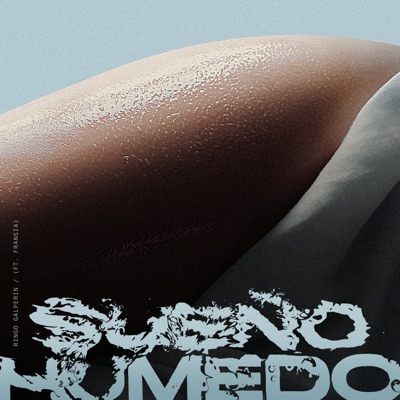 Sueño Húmedo (feat. Fransia) - Single