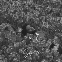 Schijnliefde - Single - Stepherd